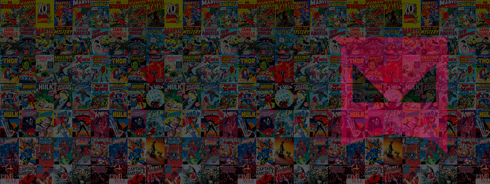 Don't miss our special offers!