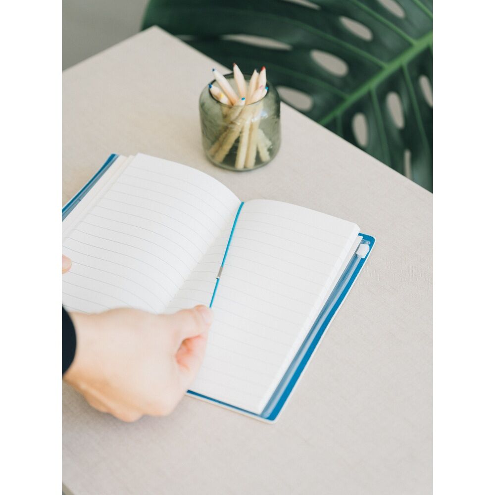 Diario de viaje de Alicia en el País de las Maravillas – Disney