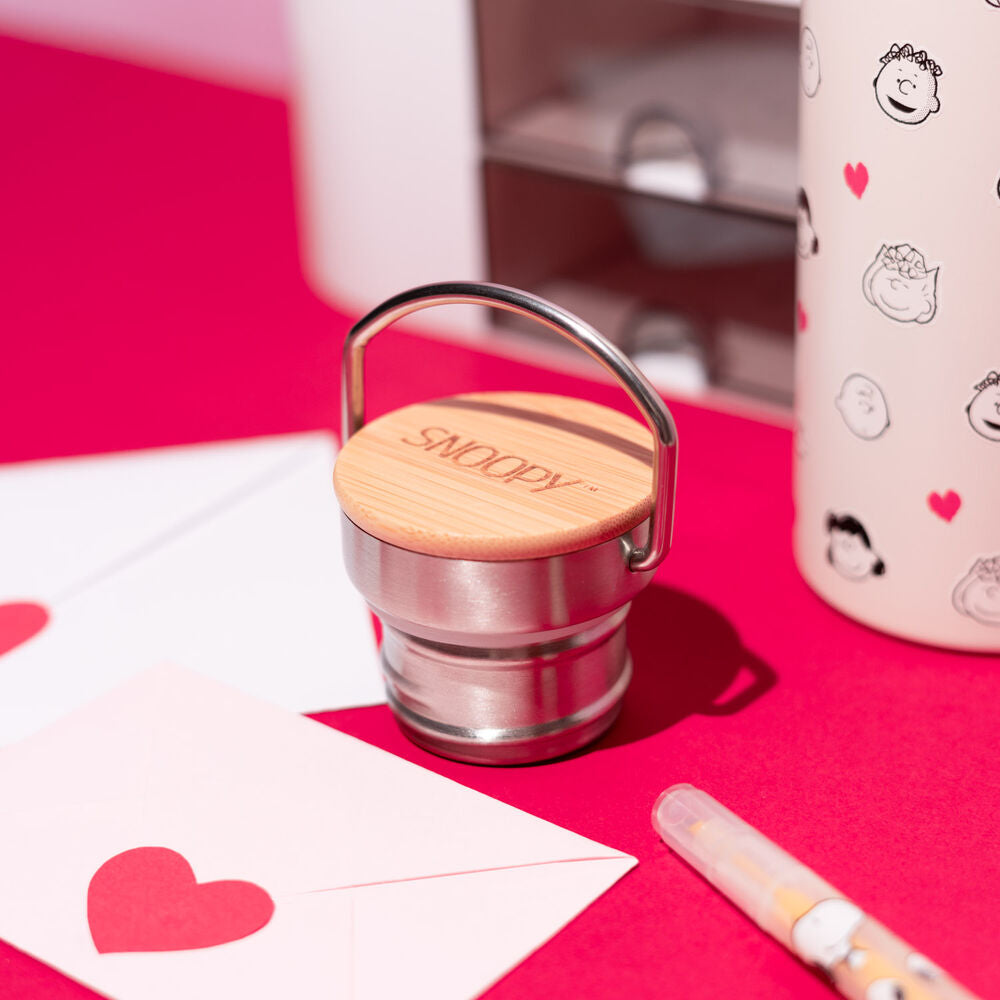 Botella de acero inoxidable Snoopy – Peanuts (500 ml)